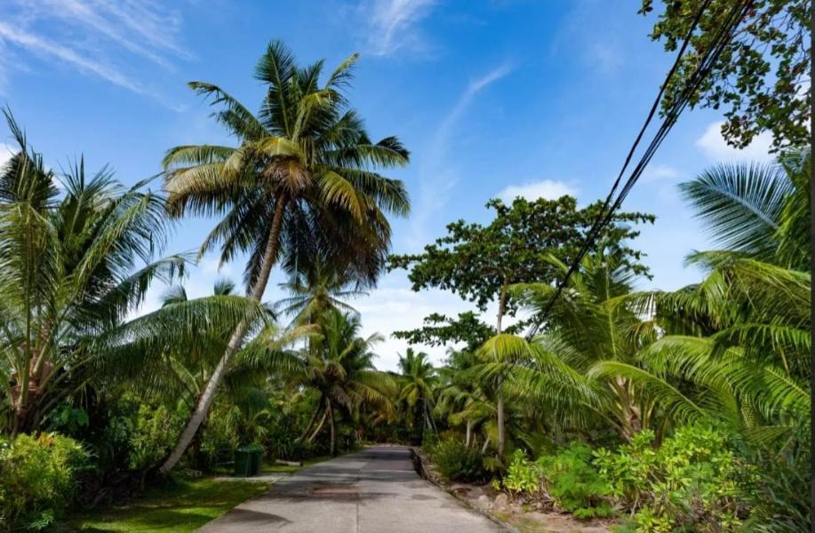 Happy Stay Villa Grand Anse  Eksteriør bilde